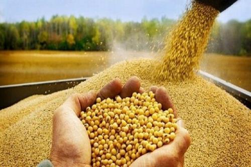 بیانیه وزارت جهاد کشاورزی درباره تخلف در واردات نهاده های دامی