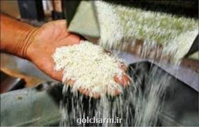 رقم جدید برنج طارم روشن اصلاح و ارائه شد