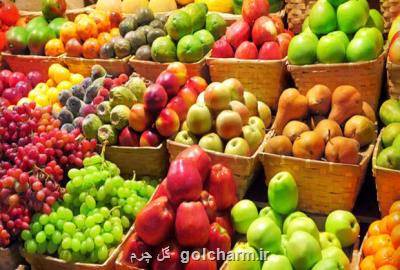 قیمت میوه های تابستانه 20 روز دیگر معقول می شود