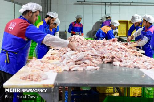 افزایش 4500 تومانی قیمت مصوب مرغ