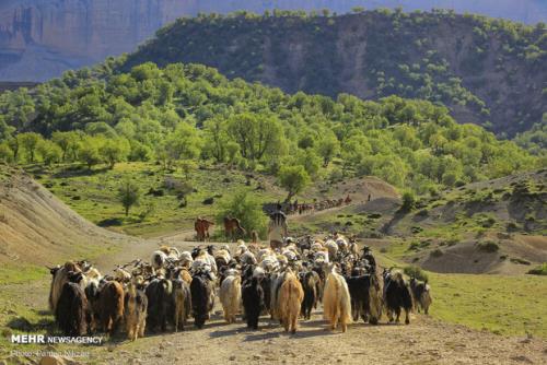 آغاز كوچ عشایر از ۳۰ فروردین