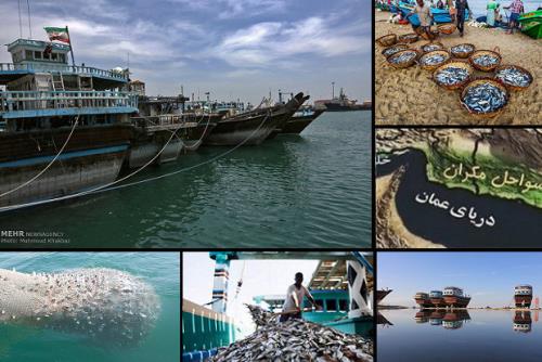 ناوگان صیادی ایران در رتبه دوم اقیانوس هند
