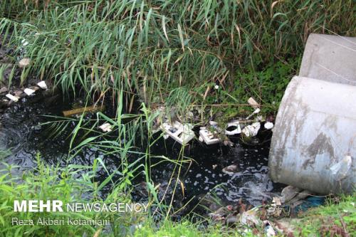 معدوم سازی ۱۰هكتار از مزارع آبیاری شده با فاضلاب در بناب