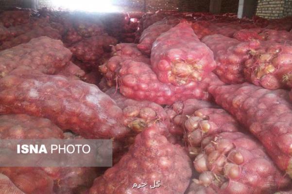 تولید پیاز مازاد بر مصرف
