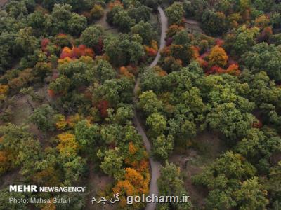 اقدامات حفاظتی در جنگل های هیركانی تشدید می شود