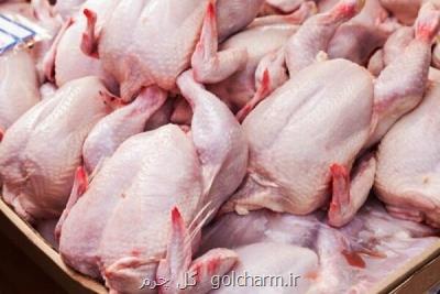 ۹۲۲ تن مرغ امروز در تهران توزیع شد