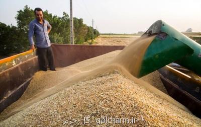 كشاورزان گندم تولیدی خویش را فقط به مراكز خرید دولت تحویل دهند