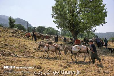 شورای ملی ساماندهی كوچ تشكیل گردد