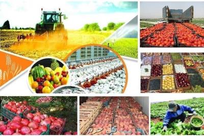 حمایت كشاورزان از طرح تقویت امنیت غذایی كشور