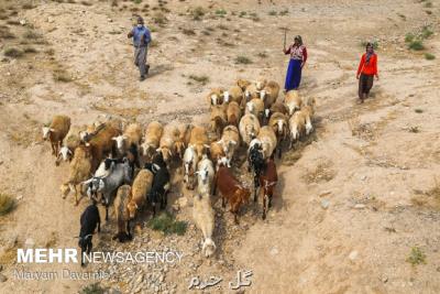 بازارمانعی برای تولیدات عشایروروستاهای سمنان