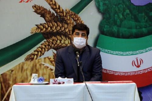 برداشت ۶۸۰ هزار تن محصول سیب درختی در آذربایجان شرقی