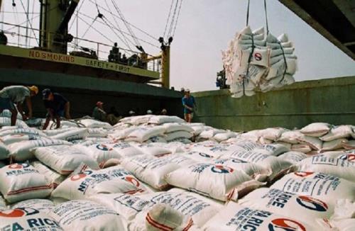ترخیص بیشتر از ۱۳ هزار تن برنج از گمرک
