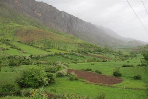 طرح ممیزی مراتع کشور سال جاری به اتمام می رسد