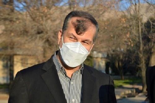 ۴۰ درصد باغات خرمای کشور فرسوده است