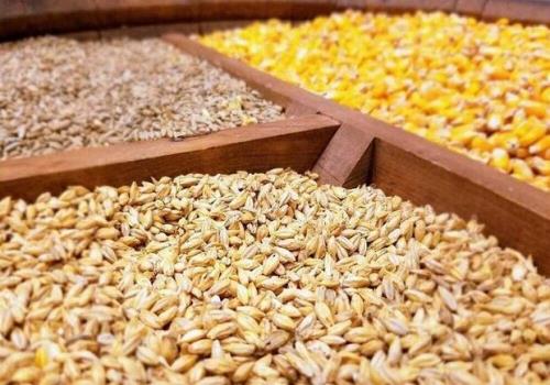 اجرای پروسه ۸ مرحله ای برای حذف ارز ترجیحی نهاده های دامی