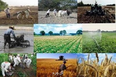 کشاورزی، زیربنای توسعه اقتصادی