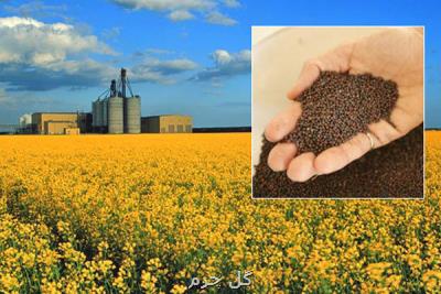 بازخوانی علل عقب ماندگی در طرح خوداتکایی روغن