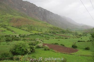 طرح ممیزی مراتع کشور سال جاری به اتمام می رسد