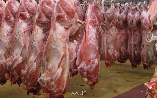 تأثیر صادرات دام بر قیمت گوشت قرمز