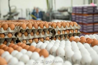 شروع فروش اینترنتی تخم مرغ و برنج در اهواز