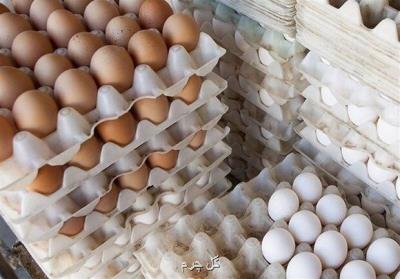 چرا تخم مرغ ها کوچک شده اند؟