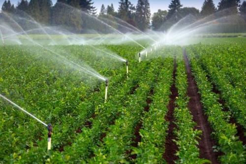 سامانه های نوین آبیاری در اراضی حوضه دریاچه ارومیه در حال اجرا است