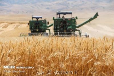 پیشبینی برداشت ۲۰۰هزارتن گندم در اصفهان
