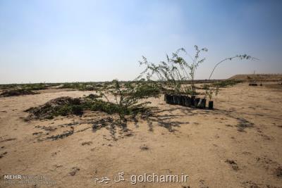 مطالعات در فاز دوم طرح ۵۵۰ هزار هکتاری شروع شده است
