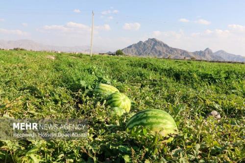 افزایش حداقل 100 درصدی تعرفه های صادراتی محصولات آب بر