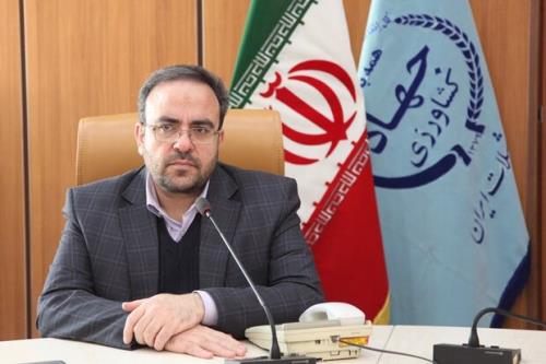 صادرات شیلات به ۳ کشور تسهیل شود