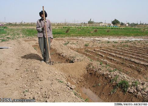 2 سال است روستاهای شرق جاده اهواز - آبادان کشت نمی کنند