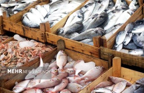 تولید آبزیان تا سال ۱۴۰۴ دو برابر می شود
