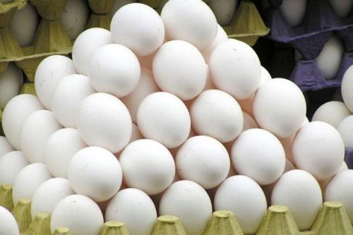 فروشندگان باید تخم مرغ را برمبنای وزن عرضه کنند