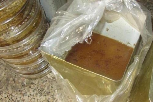 یک تن عسل تقلبی در نیشابور کشف شد