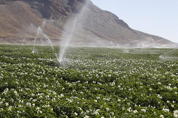 فاز ابتدایی اجرای کشاورزی قراردادی