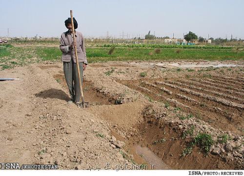 2 سال است روستاهای شرق جاده اهواز – آبادان کشت نمی کنند