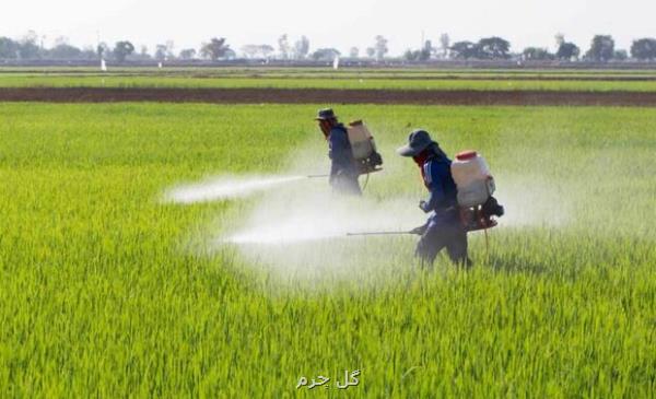 اجرای کنترل بیولوژیک آفات در باغات و مزارع خوزستان