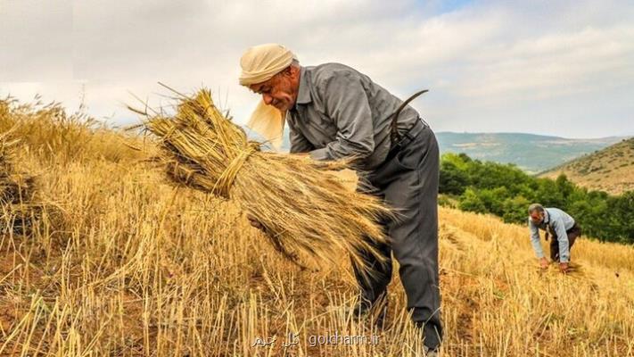 طرح ملی کشت دیمزار و پیشگیری از مهاجرت کشاورز از روستا به شهر