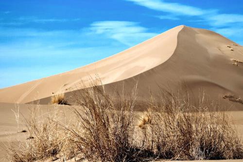 سرعت گسترش بیابان در کشور نسبت به احیا 3 برابر است