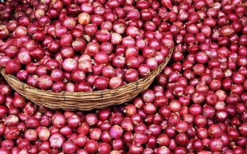 آذربایجان شرقی سالانه ۸۴ هزار تن پیاز تولید می کند