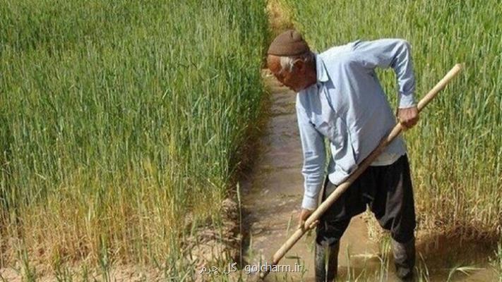 وزیر بدون نظر کشاورزان نمی تواند برای فعالیت آنها فرمان صادر کند