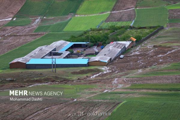 خودکفایی در کشاورزی لازمه استقلال و اقتدار سیاسی