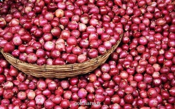 آذربایجان شرقی سالانه ۸۴ هزار تن پیاز تولید می کند