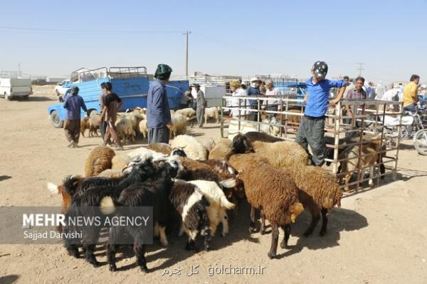 نکات بهداشتی سازمان دامپزشکی بمناسبت تاسوعا و عاشورای حسینی