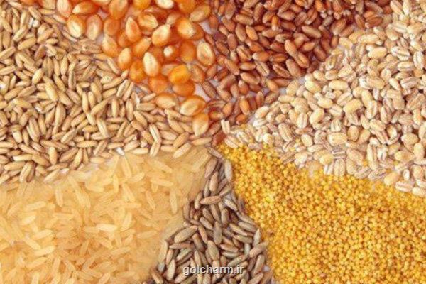 بلاتکلیفی قیمت کالاهای اساسی