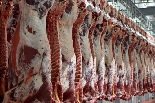 ۴۰ هزار تن گوشت قرمز در شهریور ارائه شد