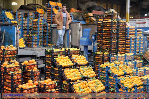 اعلام قیمت عمده انواع میوه و سبزی در بازار به همراه جدول