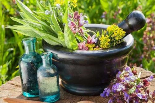 لزوم تجاری سازی گیاهان دارویی و خشکبار
