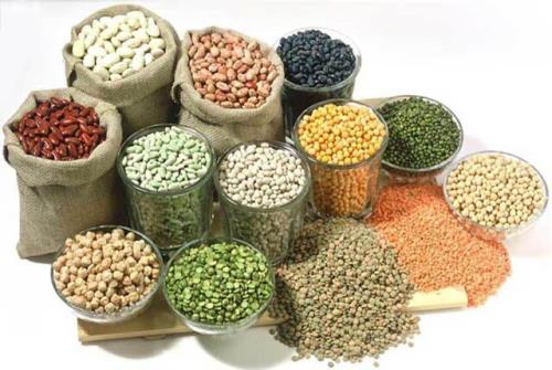 توزیع حبوبات با قیمت مصوب در فروشگاه های زنجیره ای سراسر کشور در آستانه ماه مبارک رمضان