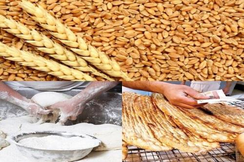 کیفیت گندم، آرد و نان کشور بطور دائم کنترل و رصد می شود